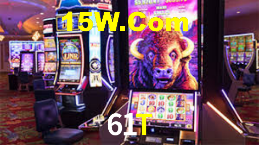 61t.com