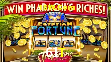 Sessão de jogo em andamento no aplicativo 61T para Android