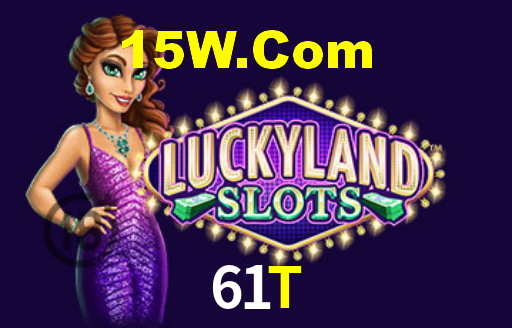 61t.com